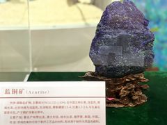 -中国第四纪冰川遗迹陈列馆