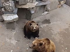 -保定市动物园