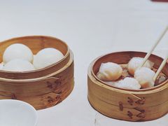 -利苑酒家(华熙国际店)