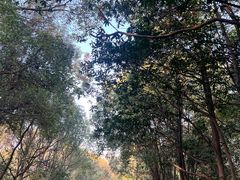 -艾溪湖湿地公园