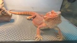 -酷嗒动物文化乐园(cutezoo西溪乐天城店)