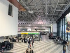 -米兰马尔彭萨国际机场