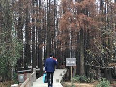 -东湖落雁景区