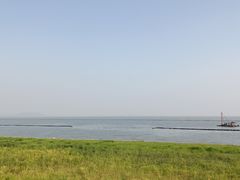 -合肥滨湖国家森林公园