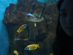 -石家庄海洋公园