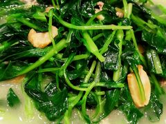 橄榄油时蔬-威哥美食(迈科国际店)