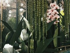 景观位-雀蓝川菜(奥体广场店)