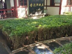 -百脉泉景区