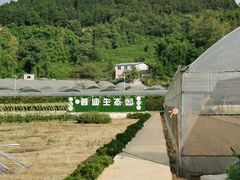 -普迪生态园