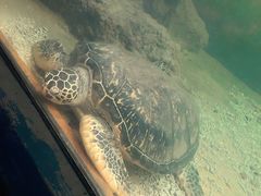 -苏州海洋馆