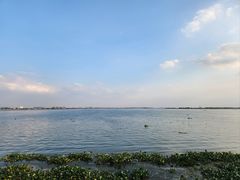 -莲花岛景区