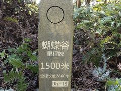 -梧桐山风景名胜区