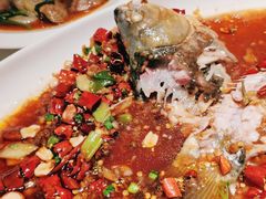 -杨氏青龙虾·羊蝎子(金盛路总店)