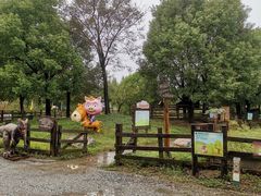 -田园东方蜜桃村的田野营地