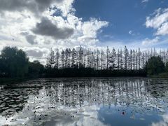 -上海长兴岛郊野公园
