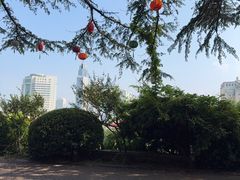 -烟台山景区