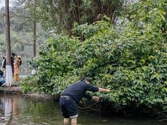 -重庆彩云湖湿地公园