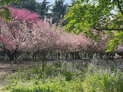 -白塘生态植物园