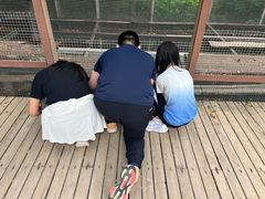 -欢乐松鼠谷
