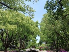 -无锡梅园公园