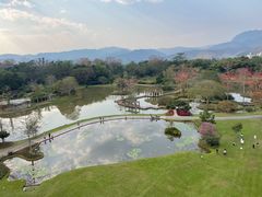 -中国科学院西双版纳热带植物园