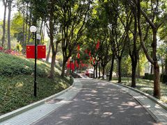 -云溪植物园