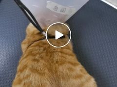 -美联众合动物医院·24h京西诊疗中心