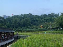-龙头寺公园