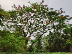 -北海市海滨公园