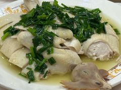 -凤城礼记鱼翅海鲜酒家(新马路总店)