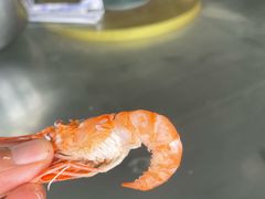 白灼河虾仔-恒盛海鲜餐厅