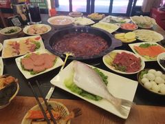 -重庆川渝肥妹火锅