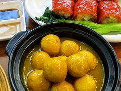 咖喱手打鱼蛋-添运来(茶园奥园广场店)