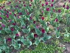 -长春公园(普阳街道)