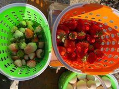 -昌平兴寿秀秀草莓采摘园