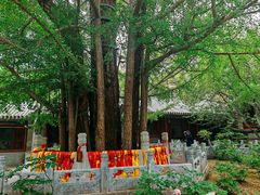 -潭柘寺景区