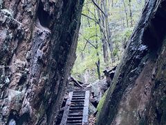 -龙峪湾国家森林公园