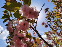 -长白岛森林公园