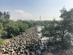 -宝安西湾红树林湿地公园