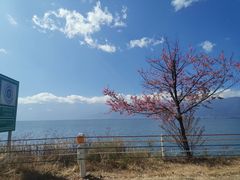 -南诏风情岛