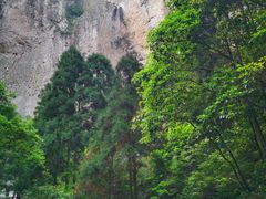 -雁荡山大龙湫景区