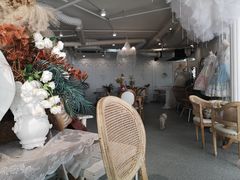 -共舞时光猫咖·狗咖(新街口店)