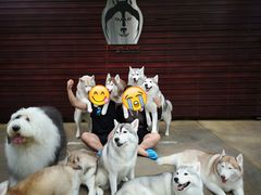 -TrueLove @ Neverland (Husky Cafe)