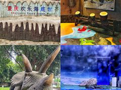 -重庆欢乐海底世界