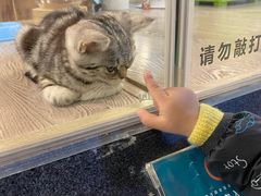 -宠物世家(仲盛世界商城店)