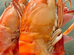 -小陆莲花蟹园农家乐(莲花岛店)