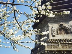 -玲珑塔公园