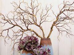 -横琴购口岸商业广场