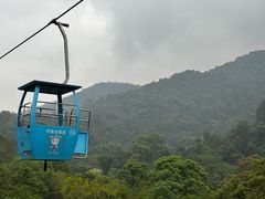 -野象谷景区