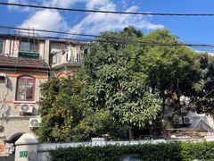 -古徽州馄饨店(宝安路店)